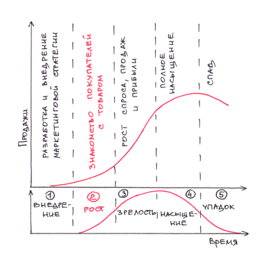 Фаза роста на графике 5 циклов жизни товара