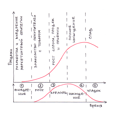 Кривая жизненного цикла товара. График