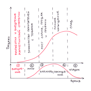 Фаза внедрения на графике 5 циклов жизни товара